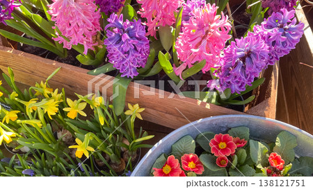 Beautiful spring flowers with hyacinths, daffodils and primroses in rustic garden containers Beautiful spring flowers with hyacinths, daffodils and primroses in rustic garden containers 138121751