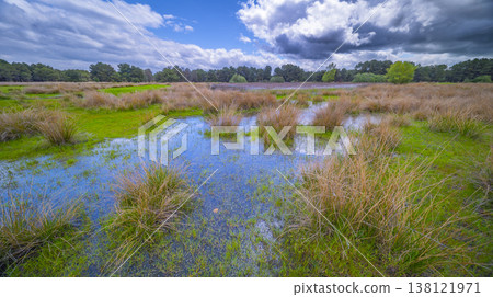Lagunas de Cantalejo Special Protection Area, Spain 138121971