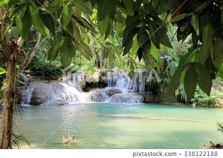 Kuang Si Falls [Luang Prabang, Laos] 138122188