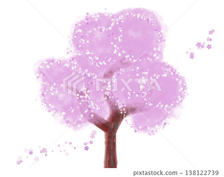 櫻花樹,花瓣飄落 櫻花樹,花瓣飄落 138122739