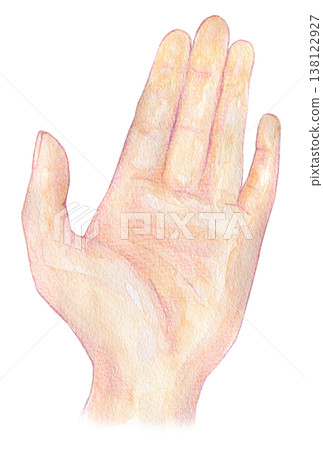 Watercolor illustration, hand-drawn illustration, hand illustration Watercolor illustration, hand-drawn illustration, hand illustration 138122927