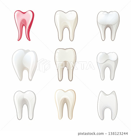 Dental Health Illustration Collection of Tooth Variations for Medical and Educational Purposes Dental Health Illustration Collection of Tooth Variations for Medical and Educational Purposes 138123244