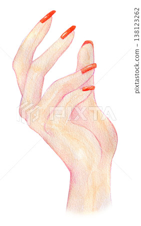 Watercolor illustration, hand-drawn illustration, hand illustration Watercolor illustration, hand-drawn illustration, hand illustration 138123262