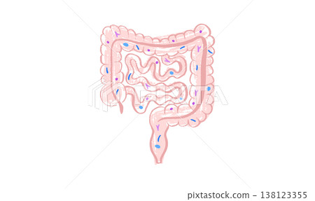 Gut Brain Connection Gut Brain Connection 138123355