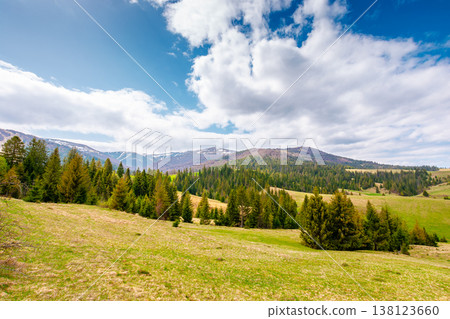 carpathian mountain scenery with coniferous forest. countryside landscape with grassy fields and rolling hills. springtime picture of rural area under blue sky. wonderful place for outdoor adventure carpathian mountain scenery with coniferous forest. countryside landscape with grassy fields and rolling hills. springtime picture of rural area under blue sky. wonderful place for outdoor adventure 138123660