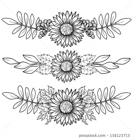 Set of sunflower frames with maple leaves and rowan berries. Botanical vector art. Black graphic illustration, hand drawn using line art. Suitable for frames, packaging and seasonal projects 138123713