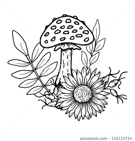 Composition of fly agarics with a sunflower, rose hips, branch with leaves. Botanical vector illustration. Hand drawn in black ink. Outline drawing of the mushroom, berries for seasonal celebrations 138123714
