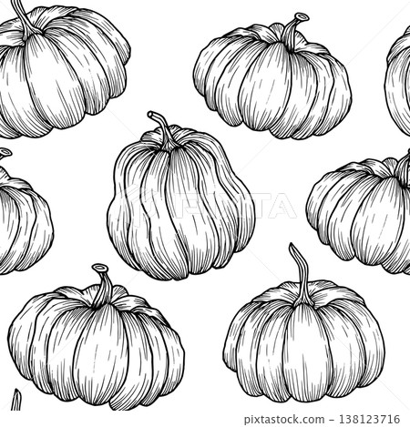 Seamless pumpkin pattern. Natural vegetable background. Simple black hand drawn graphics. Vector illustration of autumn berries. Outline drawing for Thanksgiving, agriculture and textiles Seamless pumpkin pattern. Natural vegetable background. Simple black hand drawn graphics. Vector illustration of autumn berries. Outline drawing for Thanksgiving, agriculture and textiles 138123716
