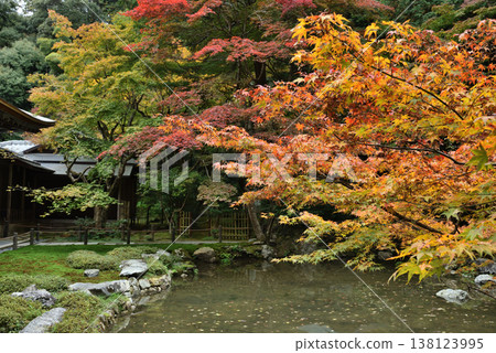 秋天的南禪院、曹源池（京都市左京區） 138123995