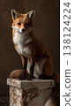 a folkloric kitsune 138124224