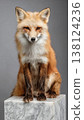 a folkloric kitsune 138124236