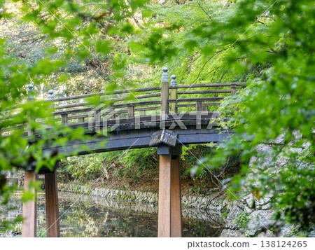 森林中的一座橋,周圍環繞著新鮮的綠色植物 森林中的一座橋,周圍環繞著新鮮的綠色植物 138124265