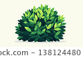 Lush green bush with dense clustered leaves forming a rounded silhouette simple clean look gentle gradients natural garden 138124480