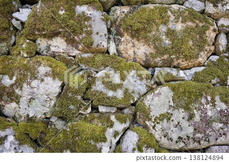 Mossy stone wall 138124894