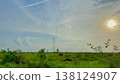 High Voltage Power Lines Across Green Field at Sunset Sky Landscape 138124907