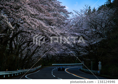 箱根收費公路櫻花隧道 箱根收費公路櫻花隧道 138124946