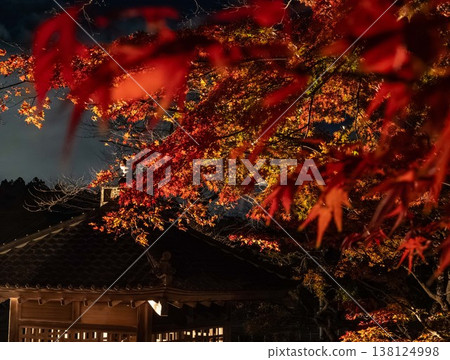 被秋葉包圍的寺廟 被秋葉包圍的寺廟 138124998