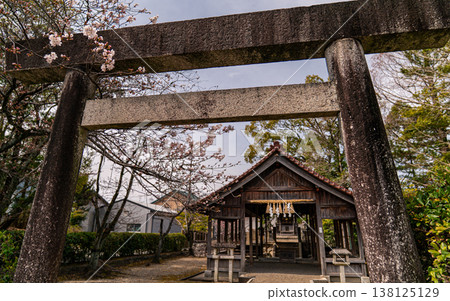 鳥居、神社、石鳥居、日本神社、櫻花、神社建築、日本、傳統建築、日式風格、春天、日本文化、旅遊景點 鳥居、神社、石鳥居、日本神社、櫻花、神社建築、日本、傳統建築、日式風格、春天、日本文化、旅遊景點 138125129