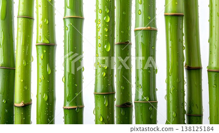 鮮嫩翠綠的竹子，點綴著晶瑩的水珠，白色背景，高清特寫。 138125184