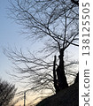 Wood silhouette 138125505