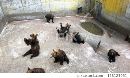 Bear ranch Bear ranch 138125961