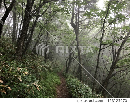 Climbing path of fog Climbing path of fog 138125970