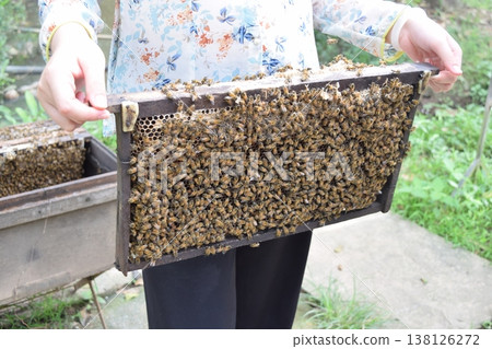 Beehives for honey farming 138126272
