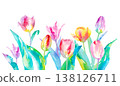 A watercolor illustration of colorful tulips blooming side by side, in a loose, relaxed style. 138126711