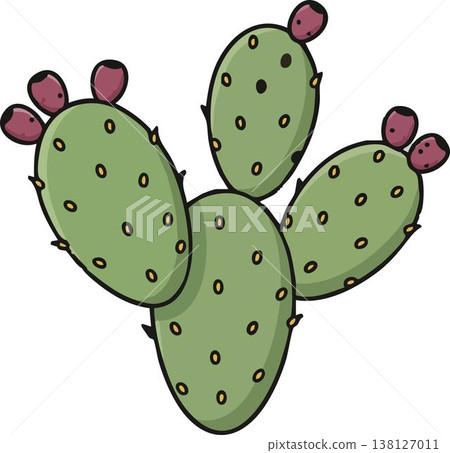 illustration of a green prickly pear cactus with purple fruits, featuring a clean black outline and isolated on a white background. illustration of a green prickly pear cactus with purple fruits, featuring a clean black outline and isolated on a white background. 138127011