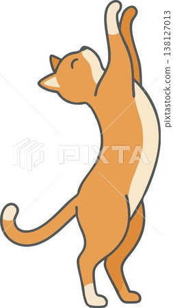 Minimalist flat illustration of an orange ginger cat stretching upwards, isolated on a white background. Minimalist flat illustration of an orange ginger cat stretching upwards, isolated on a white background. 138127013