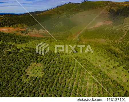 Highland plantations. Highland plantations. 138127101
