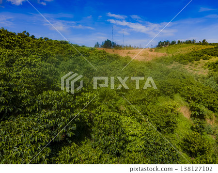 Highland plantations. Highland plantations. 138127102