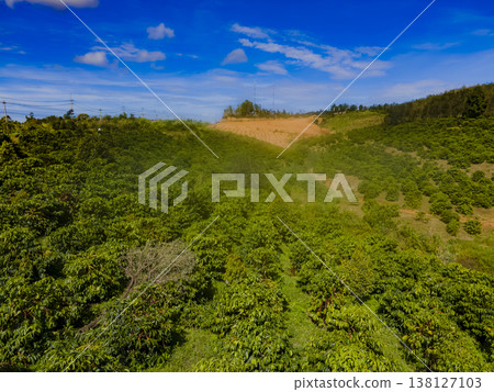 Highland plantations. 138127103