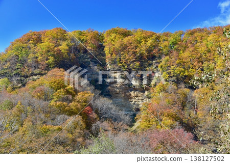 Autumn leaves 4 Autumn leaves 4 138127502