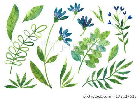 Set of watercolor images of summer plants, wildflowers, branches, and leaves. A hand drawn spring and summer floral set. Set of watercolor images of summer plants, wildflowers, branches, and leaves. A hand drawn spring and summer floral set. 138127525