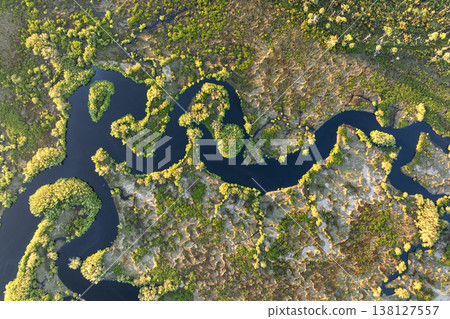 Florida subtropical swamp with wild vegetation in southern USA 138127557