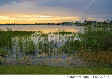 Florida evening nature. Wetland lake at sunset 138127564