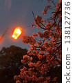 Kawazu cherry blossoms illuminated by lanterns 138127736