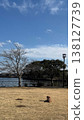 Park on a sunny day in winter 138127739