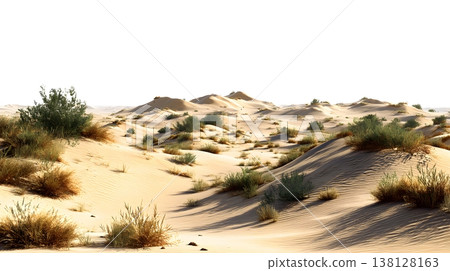 A realistic desert landscape featuring sand dunes and sparse vegetation isolated on a white background. A realistic desert landscape featuring sand dunes and sparse vegetation isolated on a white background. 138128163