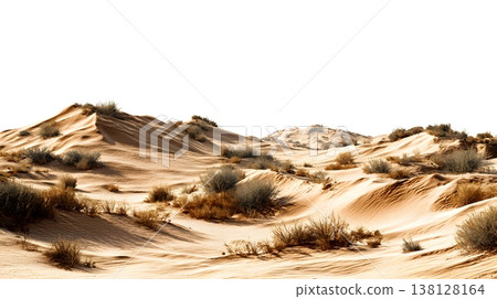A realistic desert landscape featuring sand dunes and sparse vegetation isolated on a white background. 138128164