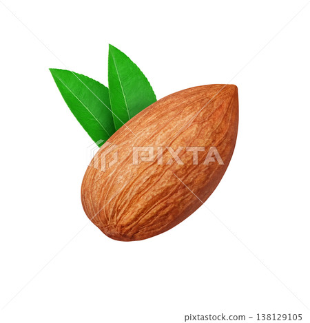 Realistic illustration of an almond Realistic illustration of an almond 138129105
