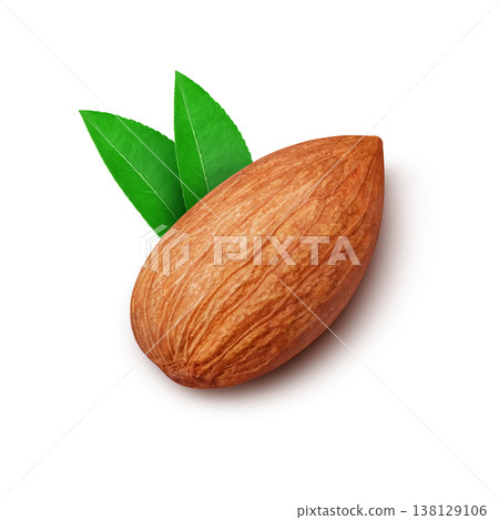 Almond illustration real Almond illustration real 138129106