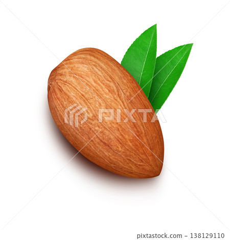 Realistic illustration of an almond Realistic illustration of an almond 138129110