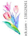 Watercolor illustration of three colorful tulips (clip art) 138129261