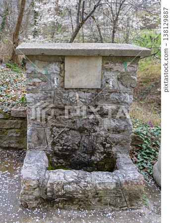 Double Tap Water Fountain 138129887