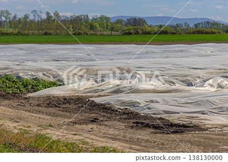 Agricultural Field Geotextile Fabric 138130000