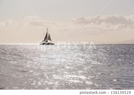 Sailboat on ocean horizon in California Sailboat on ocean horizon in California 138130529
