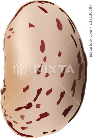 ripe legume borlotto bean white background- 138130587