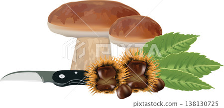 chestnut curly mushrooms and knife to clean mushrooms- 138130725